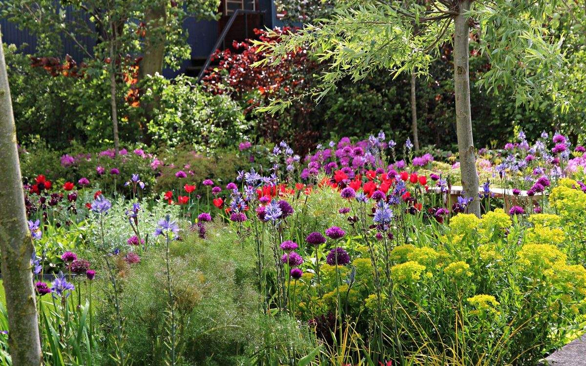 Rose kleur werkzaamheid Fabrikant Bloembollen planten; Een kleurrijke en levendige tuin | De Groot Hoveniers